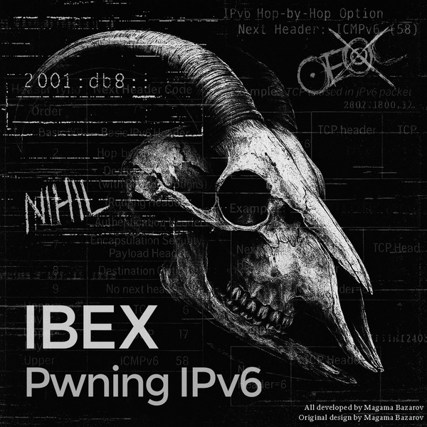 Ibex: Pwning IPv6 Networks