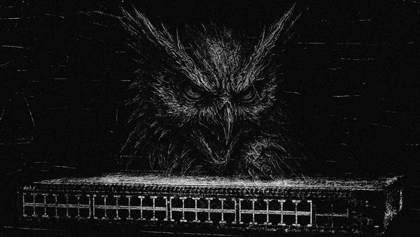 Noir: JunOS Security Inspector