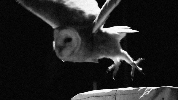 A Postcard from Caster I